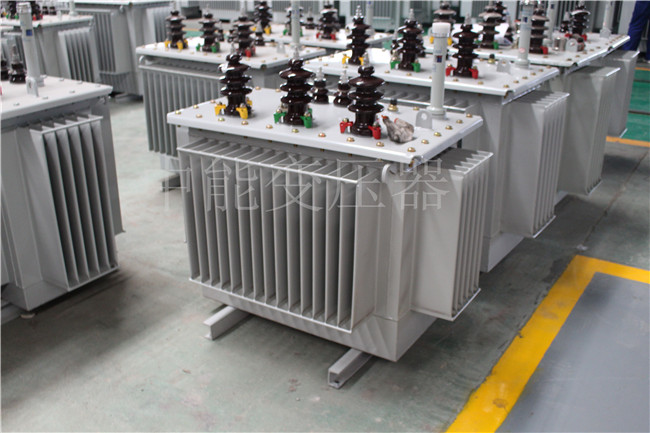 张掖S22-250KVA/10KV变压器